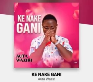 Auta Waziri - Ke Nake Gani English Lyrics & Song Review