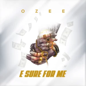 Ozee - E Sure For Me English Lyrics Meaning & Song Review