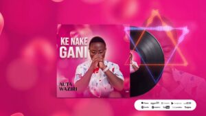 Auta Waziri - Ke Nake Gani English Lyrics & Song Review