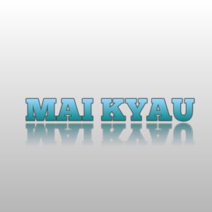 Salim Smart Mai Kyau English Lyrics Meaning And Song Review